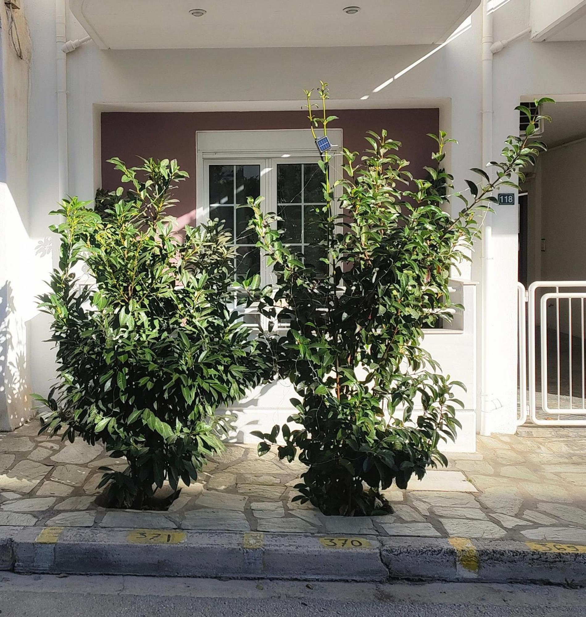 Home Golos Dış mekan fotoğraf